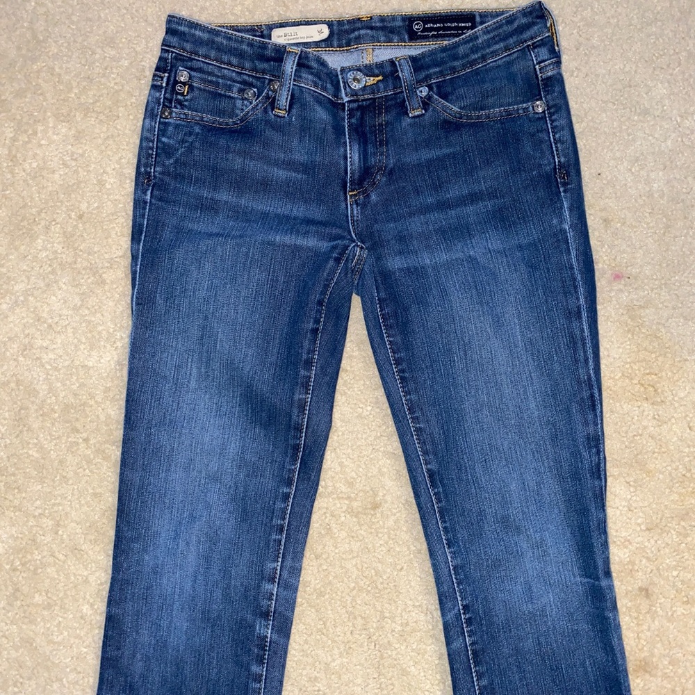 Adriano Goldschmied The Stilt Jeans, Size 24R